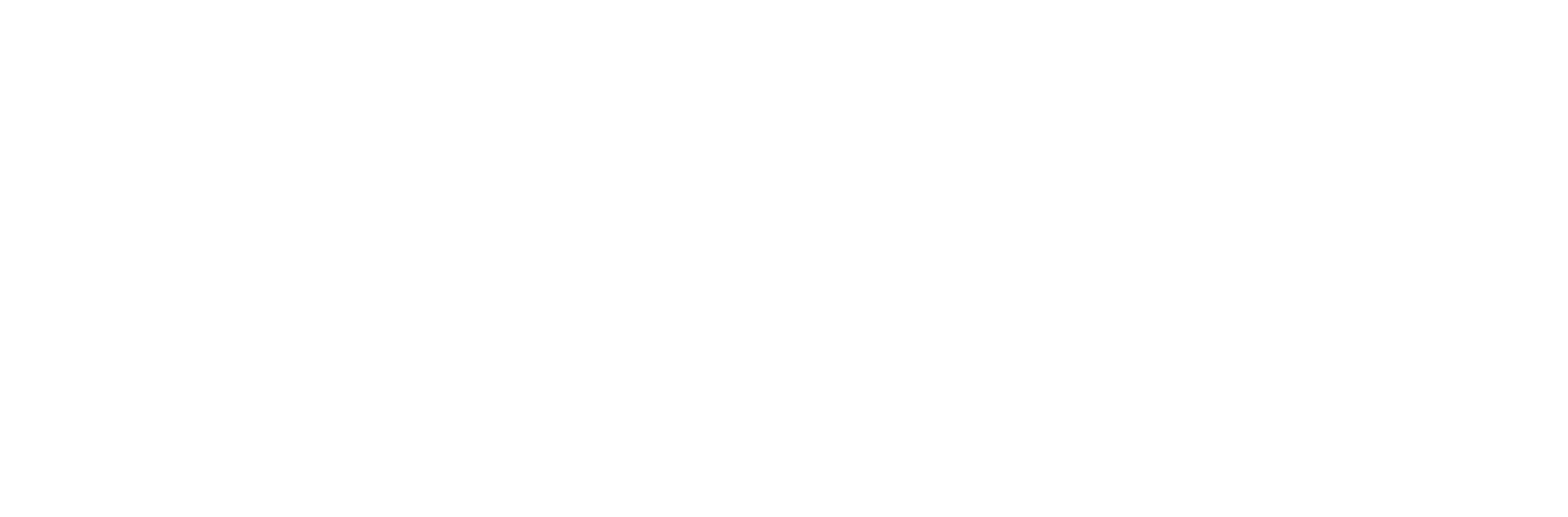 ROISA TECH SOLUTIONS